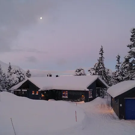 Stunning In With Wifi *